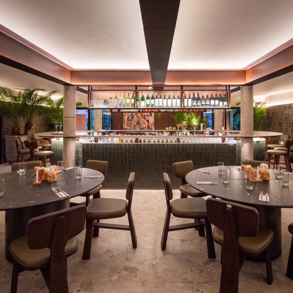 Cadeira Estandarte - Salvatore - Imagem 6